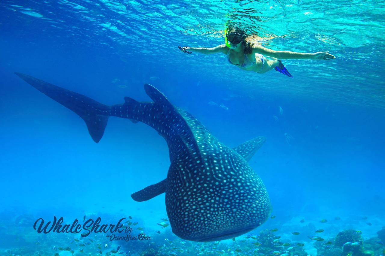 Готель Ocean Beach Maldive Maldives Екстер'єр фото